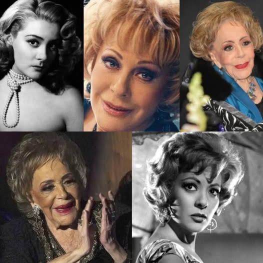 Silvia Pinal