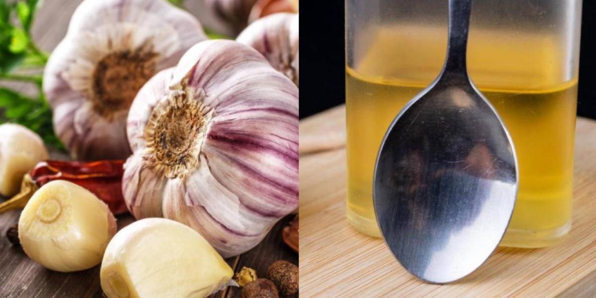 APRENDE CÓMO UTILIZAR EL AJO PARA ELIMINAR TODAS LAS INFECCIONES, HONGOS Y MALOS OLORES…