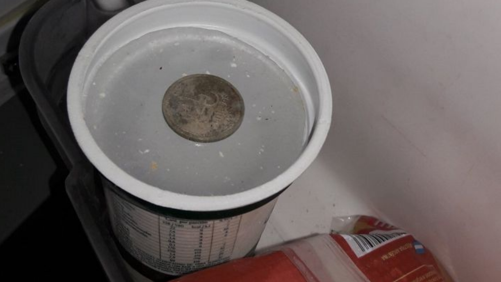 Puso una moneda en su refrigerador y la respuesta que hubo la dejo sin palabras.