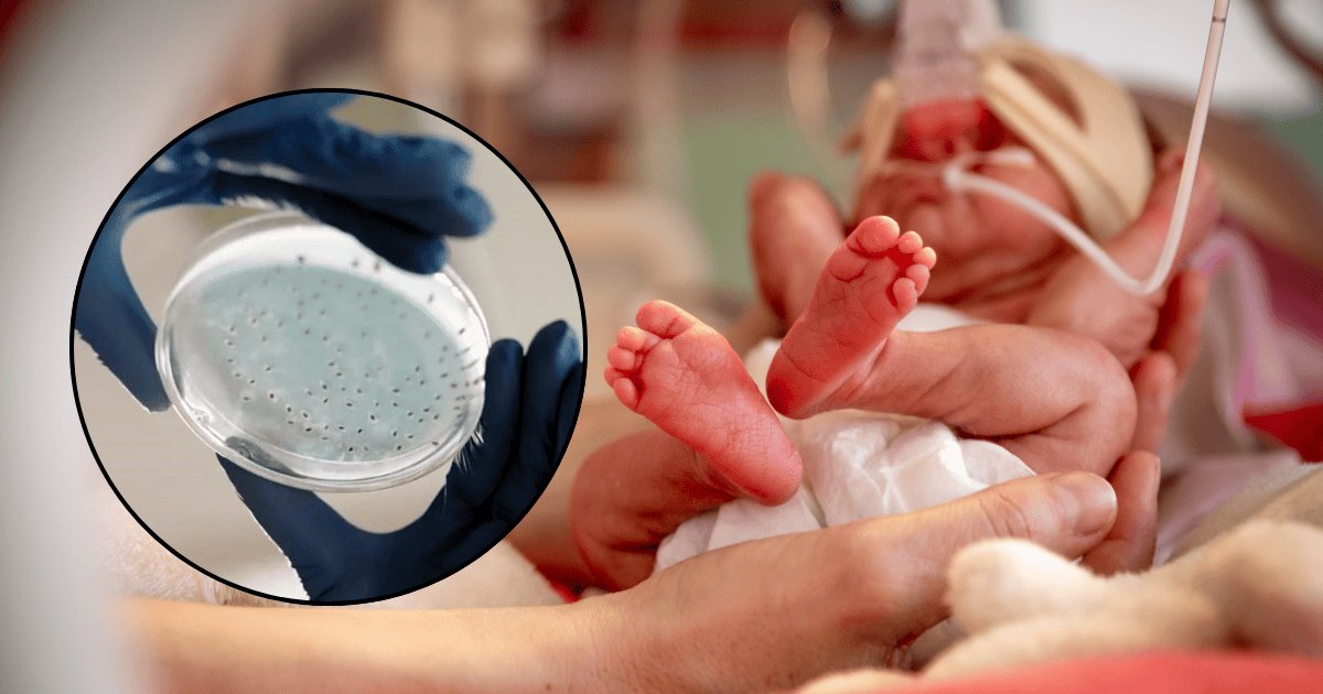 Al menos 13 niños muertos en hospitales de México por un supuesto contagio con la bacteria ‘Klebsiella oxytoca’
