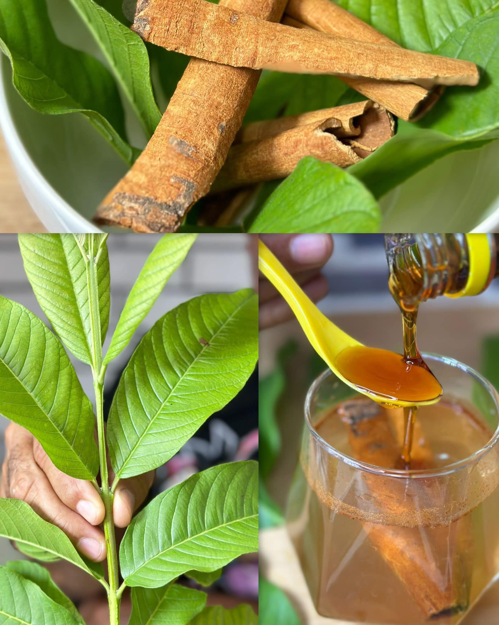 Receta Natural para la Potencia Masculina