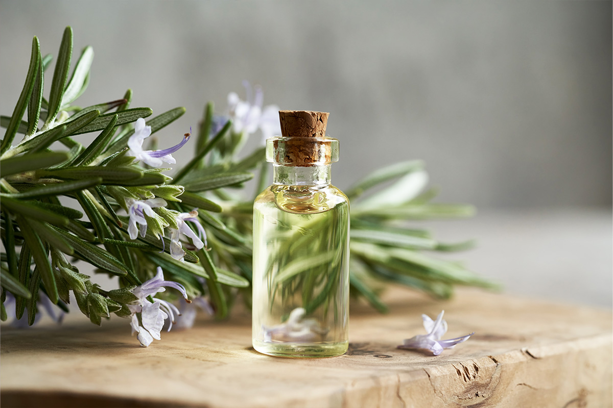 Romero con Alcohol: El Secreto Natural para Dolores, Circulación y Belleza