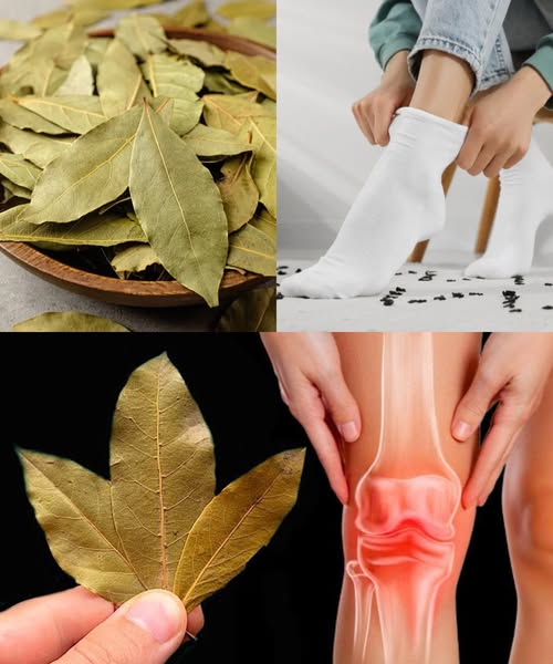 Beneficios de Poner Hoja de Laurel en los Pies Dentro de los Calcetines