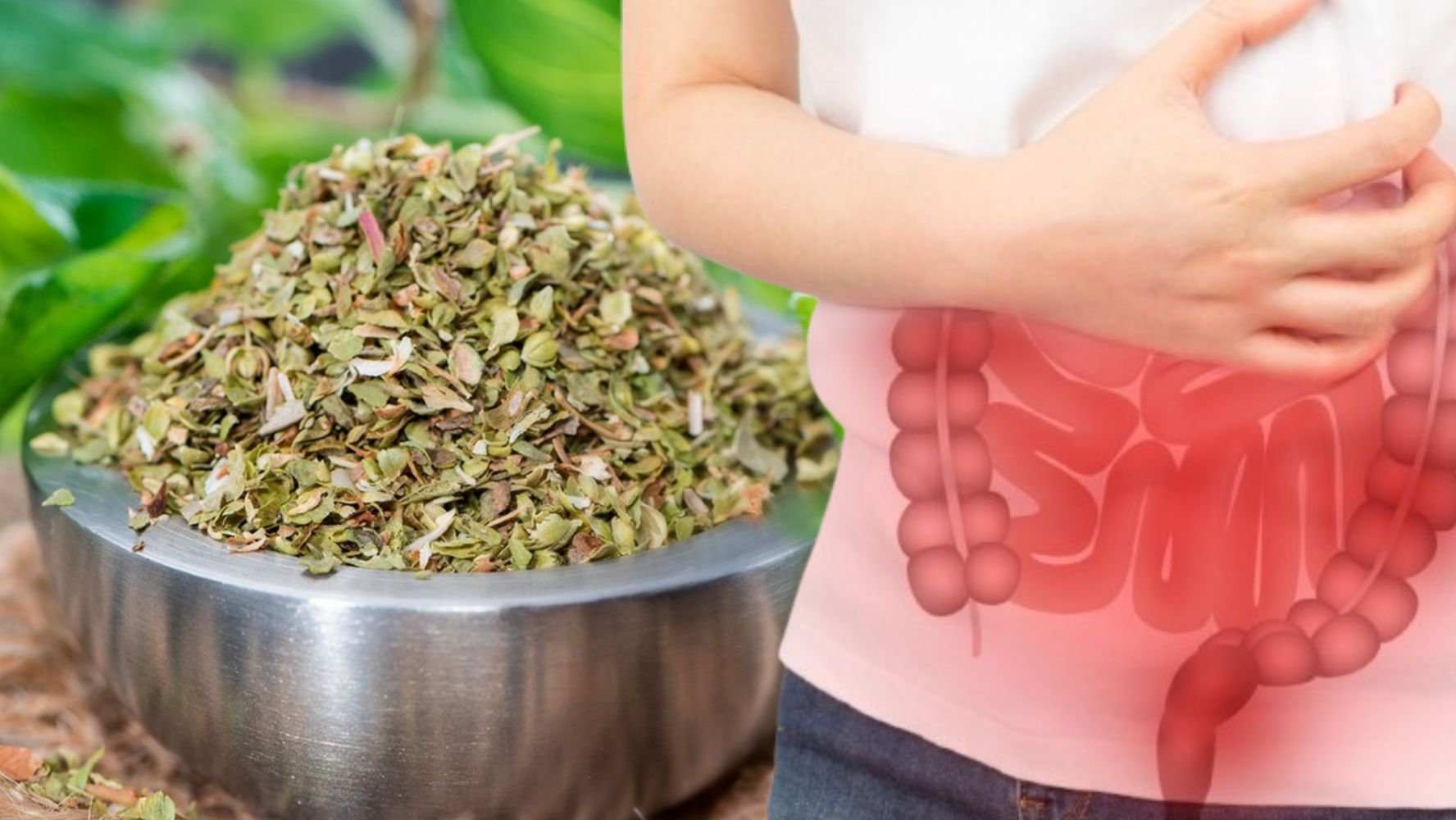 El Poder del Orégano: Remedio Natural para Limpiar Pulmones, Bajar la Inflamación y Mejorar la Salud General