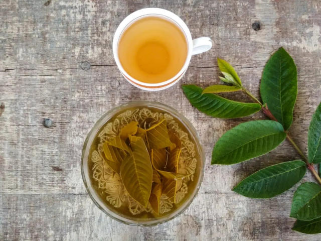Receta con Hojas de Guayaba para la Retención de Líquidos – ¡Desinflama y Drena tu Cuerpo de Forma Natural!