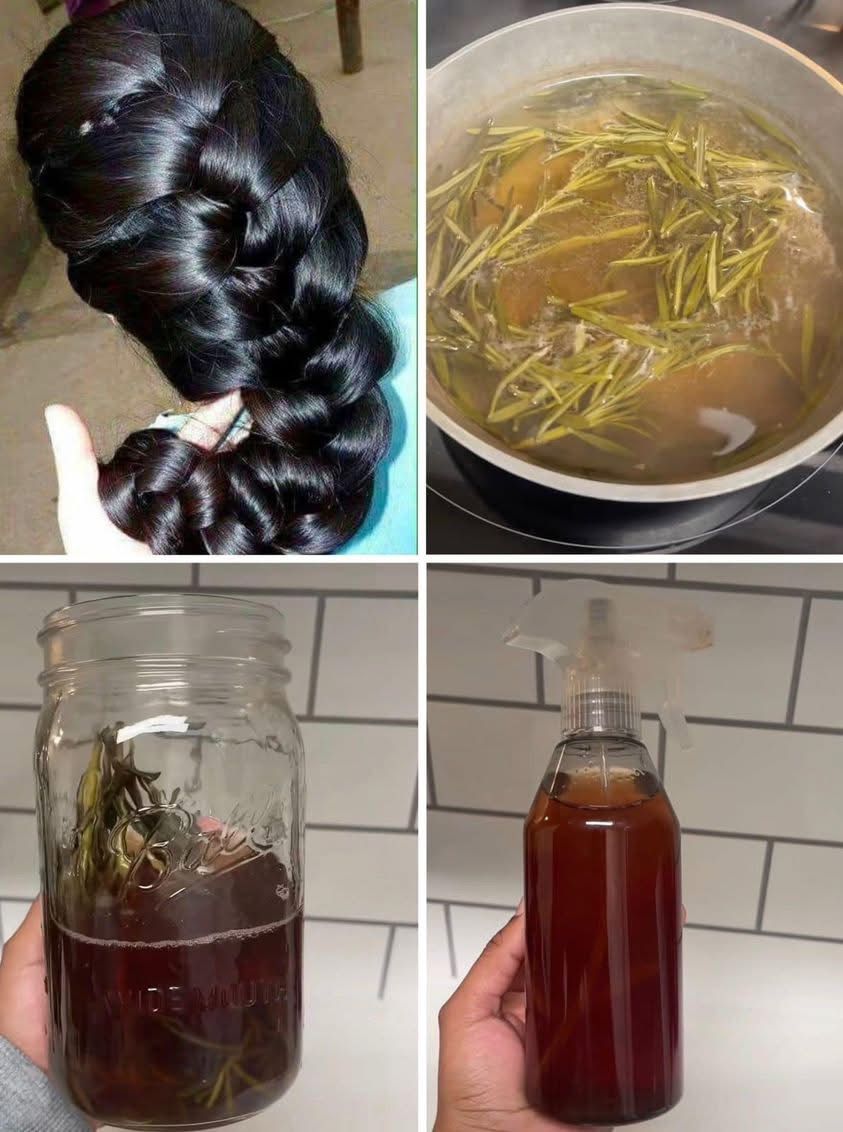 Agua de Romero con Aceite: El secreto natural para un cabello fuerte y una piel radiante