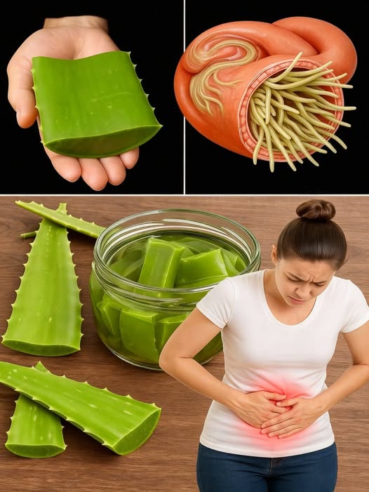 Un medico chino me dijo toma Sabila miel y limón y me lo agradecerá ver más ….