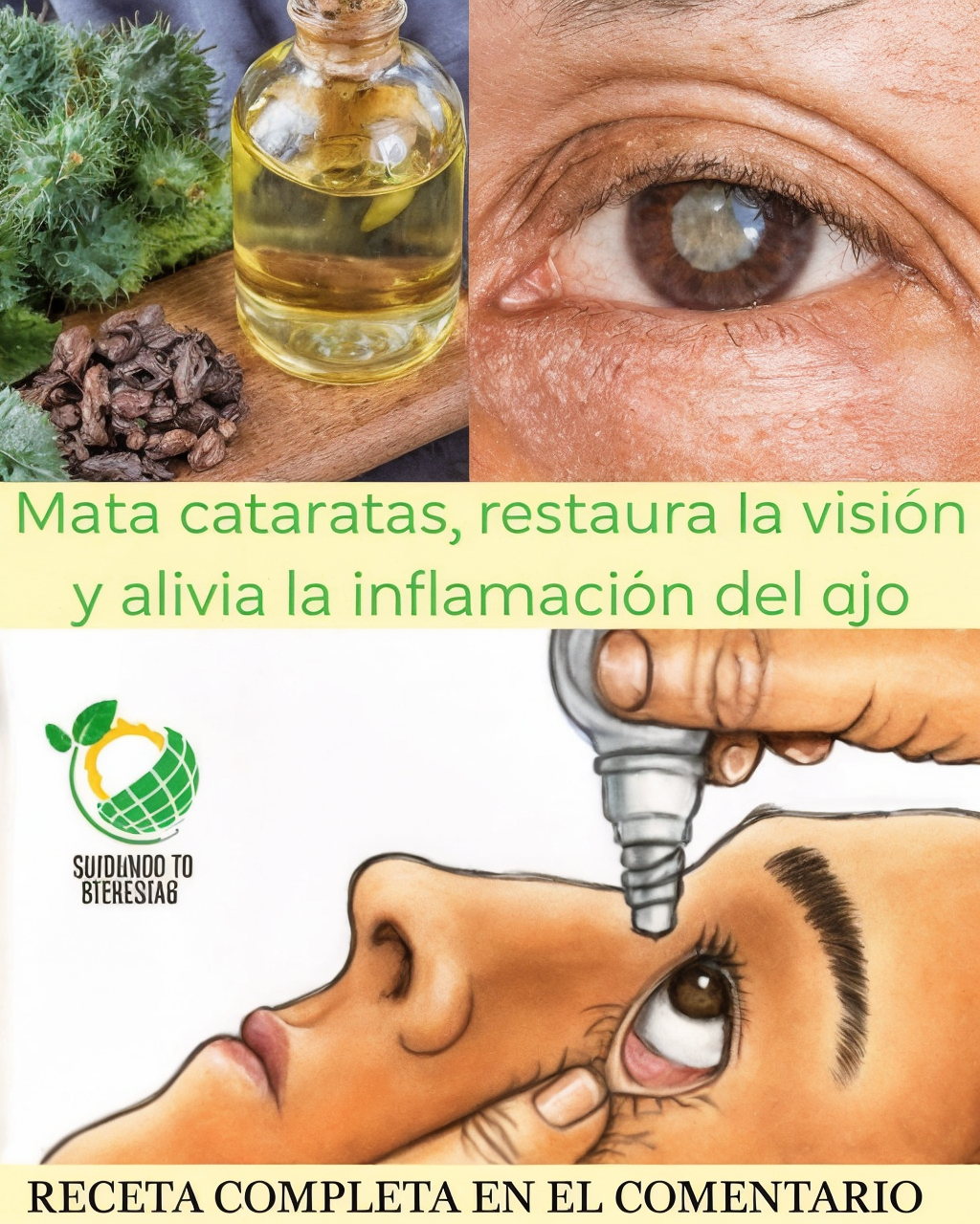 Receta Natural para Lubricar y Proteger los Ojos Secos