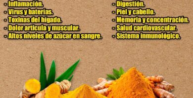 La Raíz Milagrosa: Cúrcuma, El Tesoro Dorado de la Naturaleza