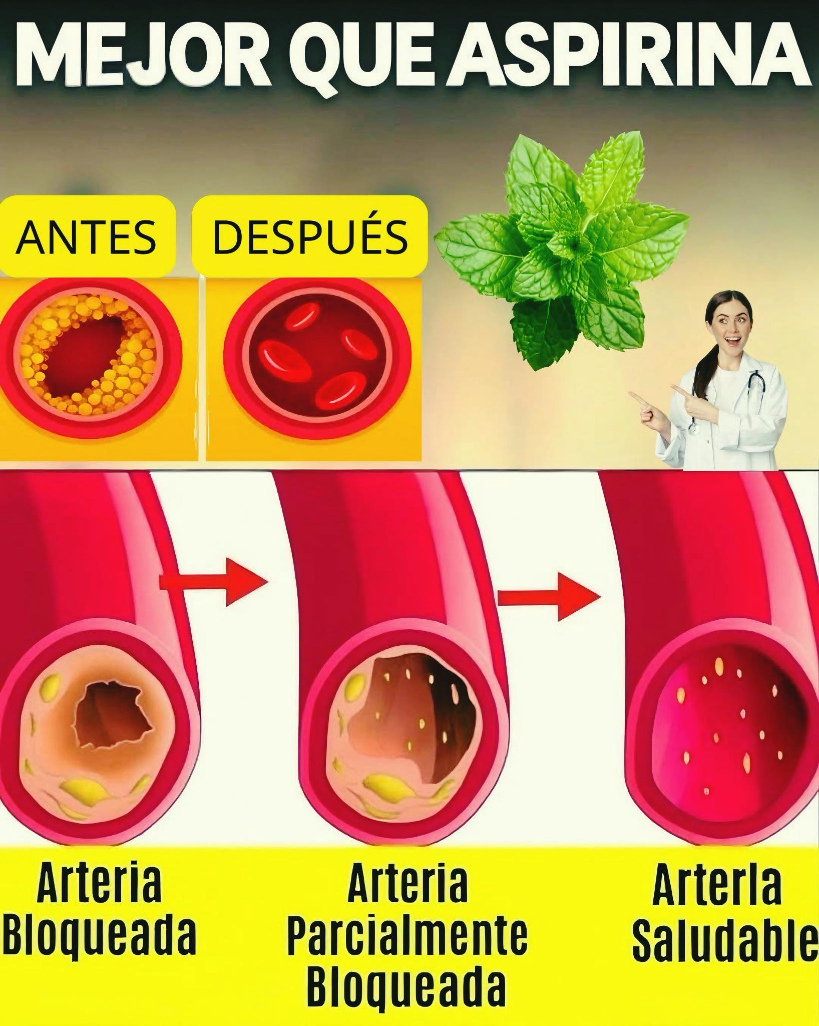 🌿 Di Adiós a las Arterias Obstruidas con Estas Poderosas Plantas Mejores que la Aspirina