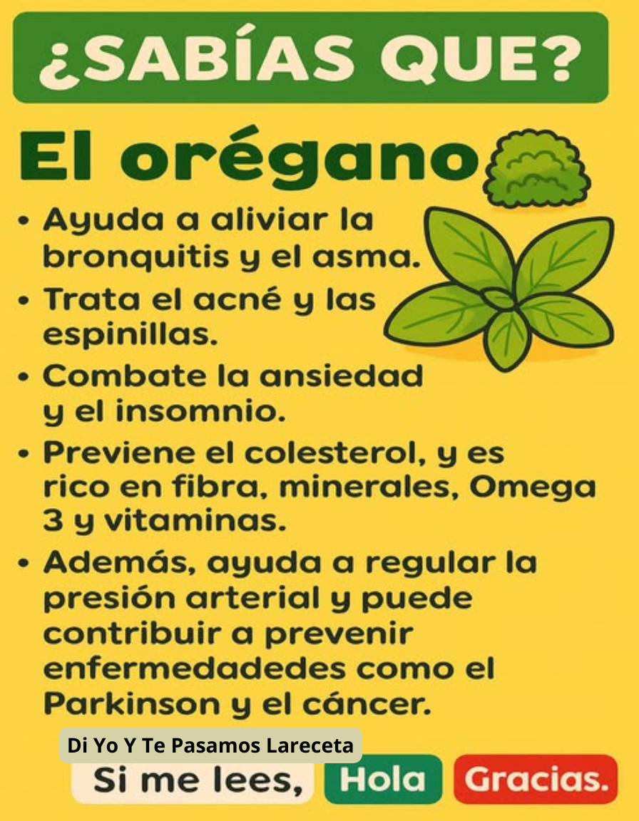 Beneficios Clave del Orégano