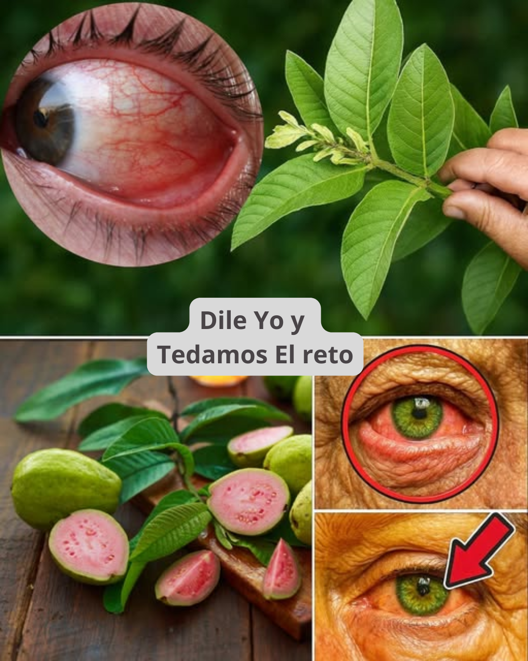 La Guayaba: El Remedio Natural que Nutre tu Visión