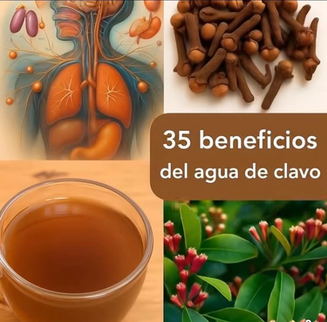 35 Beneficios Sorprendentes del Clavo Dulce: El Tesoro Aromático de la Naturaleza
