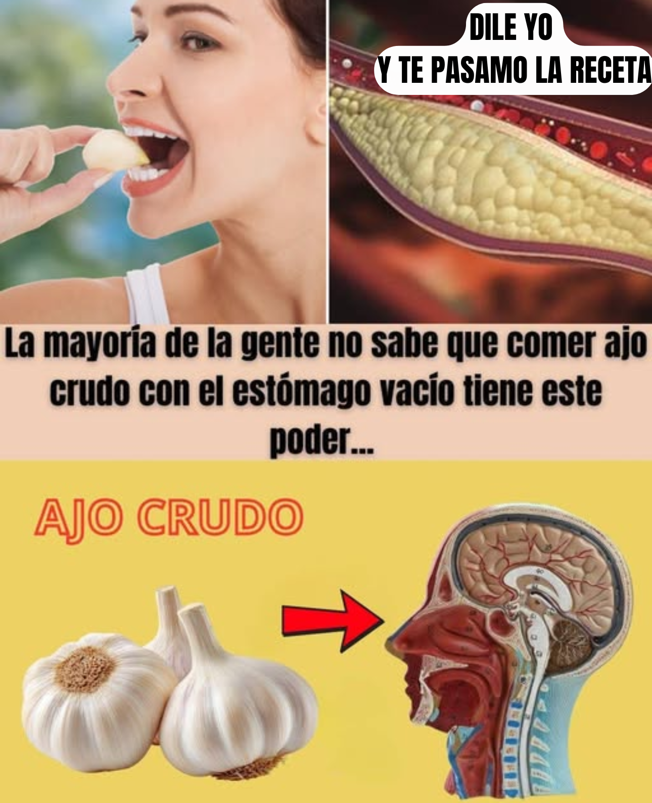 El Secreto Matutino: El Poder Inimaginable de Comer Ajo Crudo en Ayunas