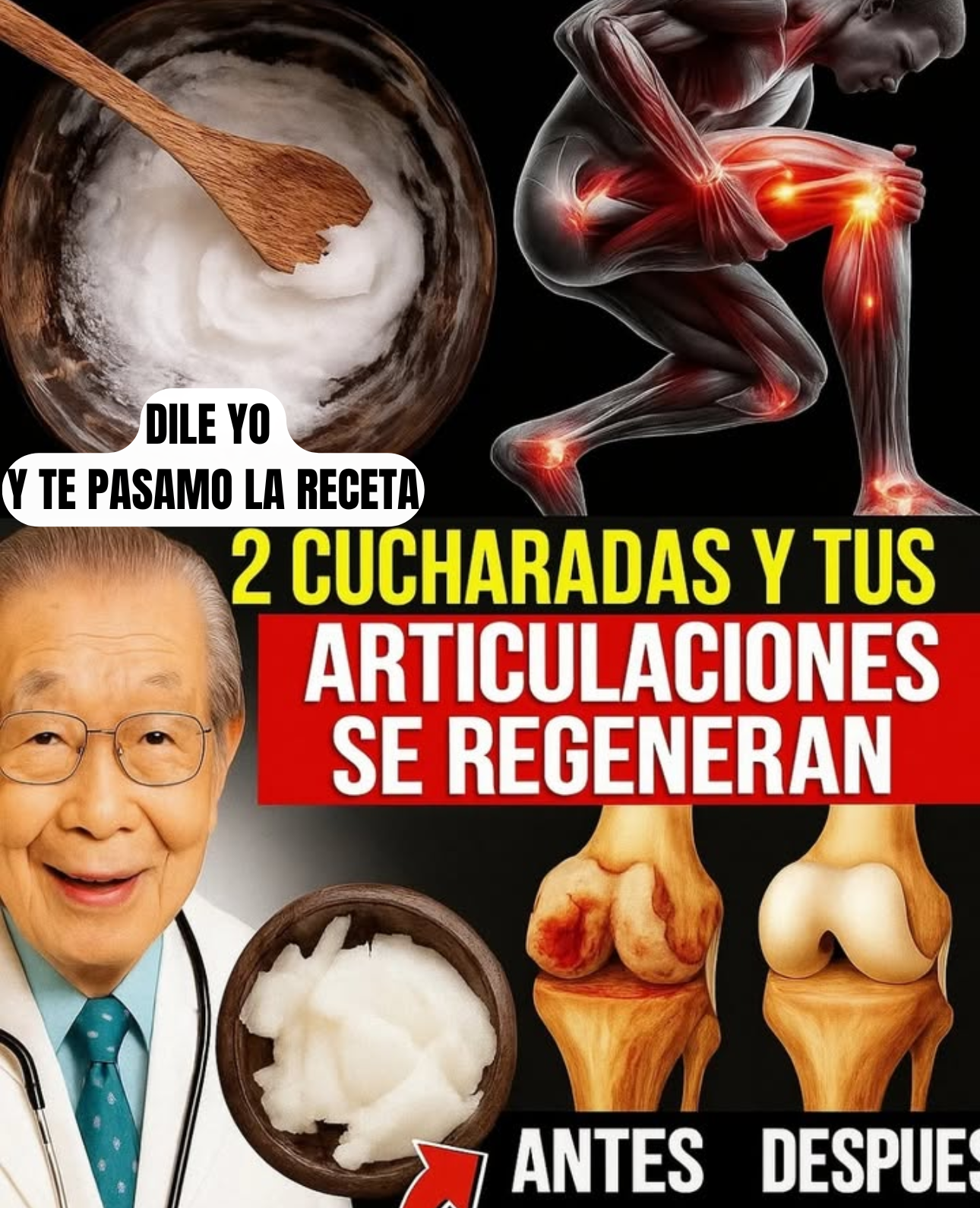 ¡La Fuente de la Juventud Articular! Médico Ortopedista de 97 Años Revela el Secreto del Cartílago