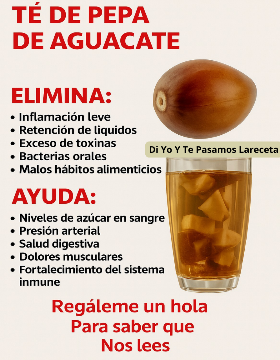 El Tesoro Oculto: Propiedades de la Semilla de Aguacate