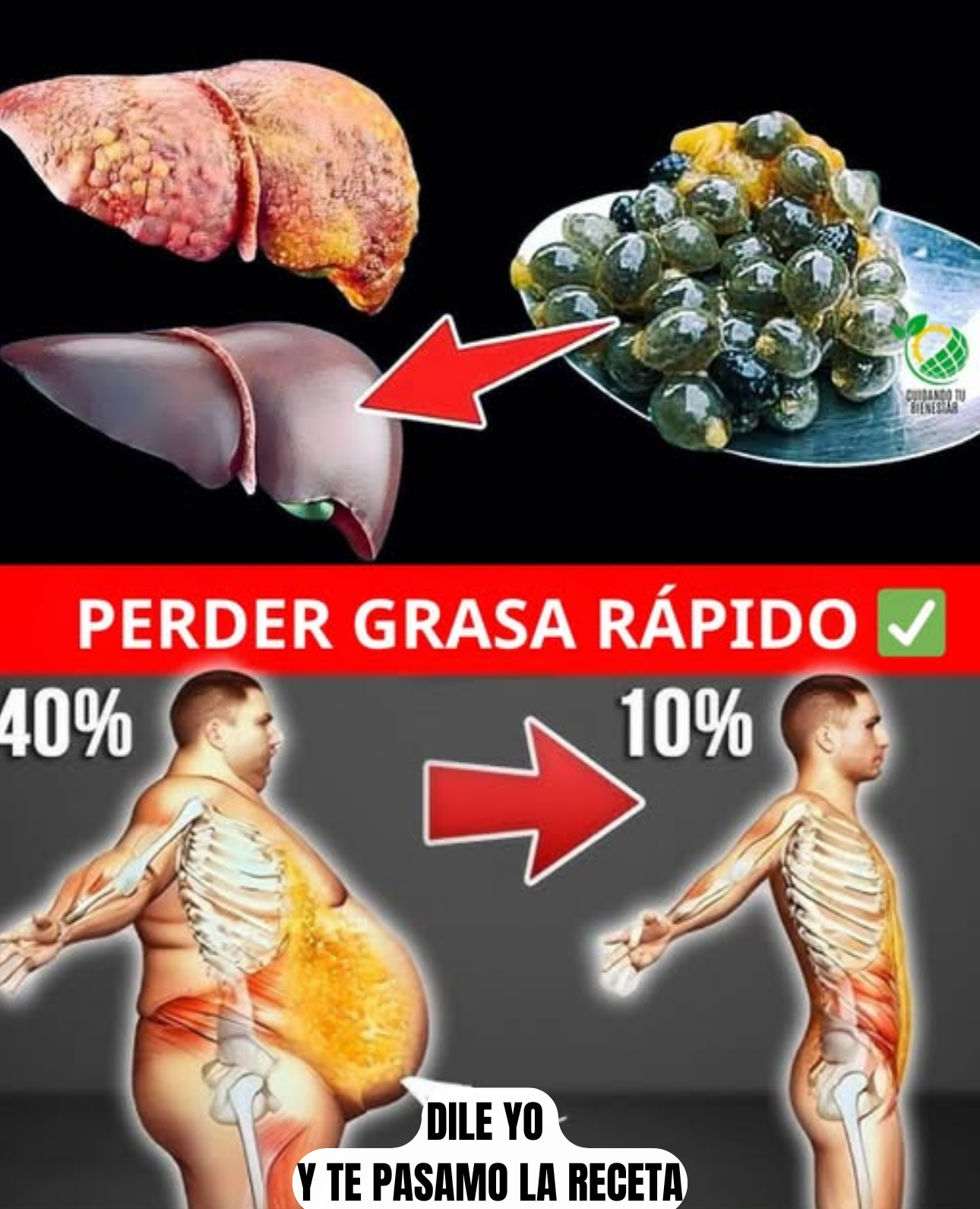 Semillas de Papaya: El Poder Oculto que Nadie Te Cuenta