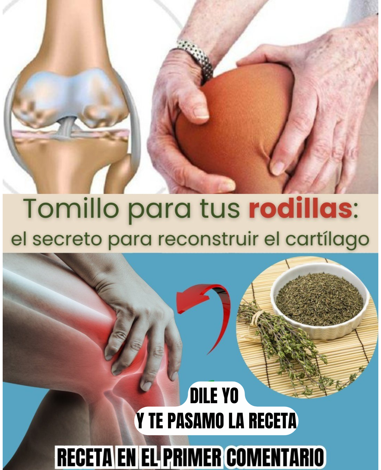 El Secreto del Tomillo: Apoyo Natural para la Salud del Cartílago