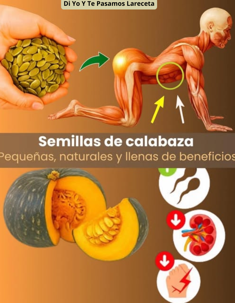 ¡Come semillas de calabaza DIARIO y esto le pasa a tu cuerpo!..