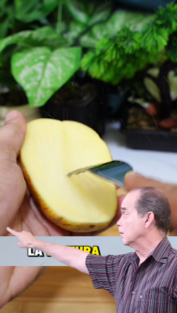 Lo que Nadie te Contó de la Papa y la Maizena: El Secreto Natural para una Piel Suave y Radiante