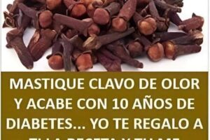 Masticar clavo de olor y su posible apoyo en el control de la diabetes