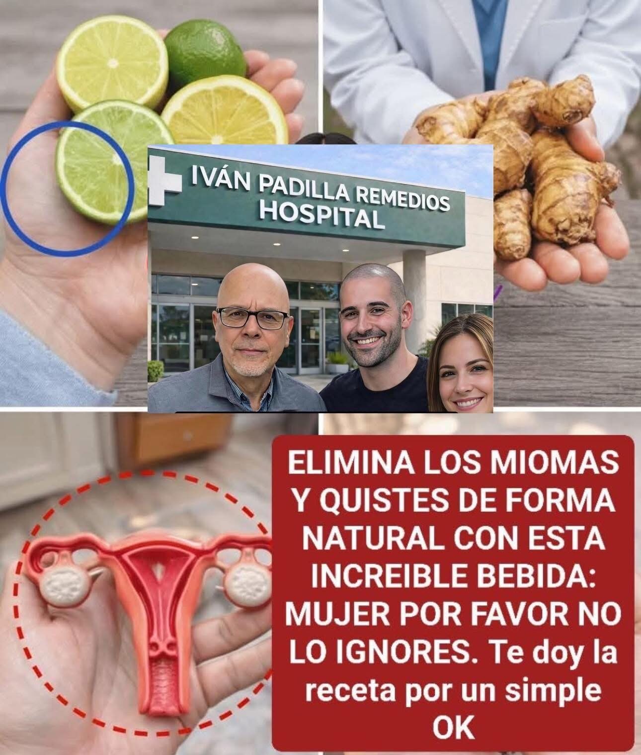 Remedios Naturales para Miomas y Quistes: Apoyo Natural para la Salud Femenina