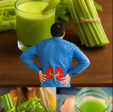 Apio el secreto verde para depurar tu cuerpo y recuperar tu energía desde adentro