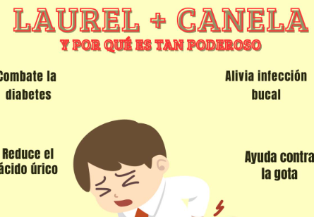 Té de laurel y canela: por qué es tan beneficioso y cómo puede apoyar la salud de forma natural