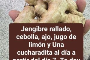 Jengibre rallado, cebolla, ajo y jugo de limón: receta natural para fortalecer el organismo