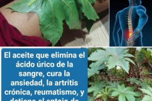 Aceite de higuereta: cómo usarlo correctamente para mejorar la salud de forma natural