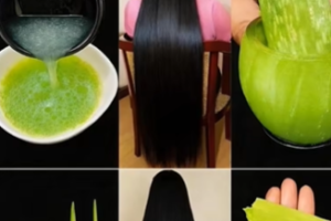Gel de Sábila para el Crecimiento del Cabello: Un Tratamiento Natural para un Cabello Más Largo, Fuerte y Brillante