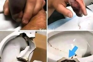 Entró al baño como cualquier día… pero debajo del inodoro se escondía algo que pudo costarle la vida