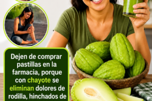 Chayote: La Bebida Natural que Muchas Personas Están Incorporando a su Rutina Diaria
